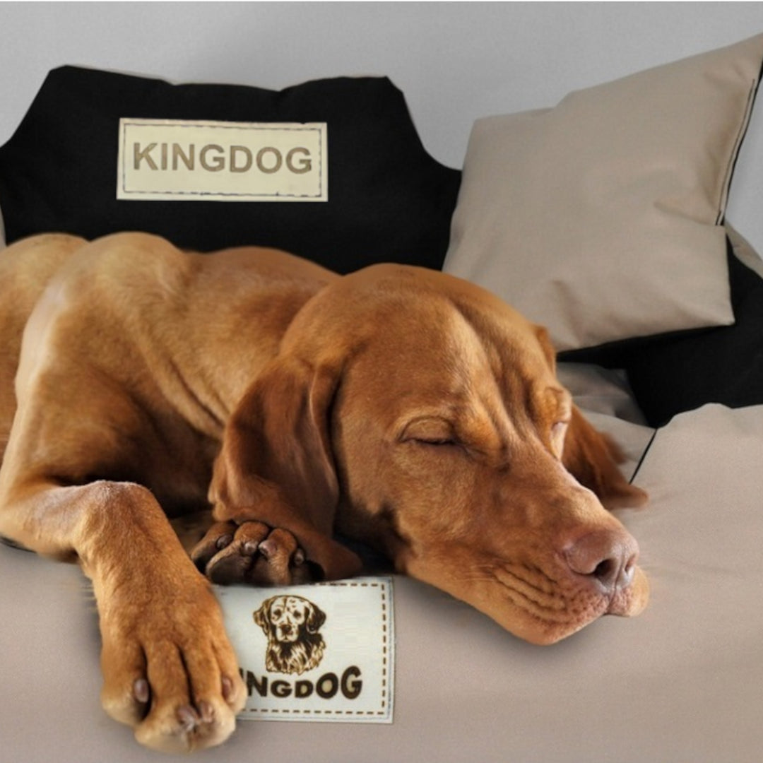 KingDog Honden- en kattenbed met twee kussens Hondenkussen Huisdierenmand Wasbaar Waterdicht PVC Materiaal Maat M 75x65cm, Donkergrijs