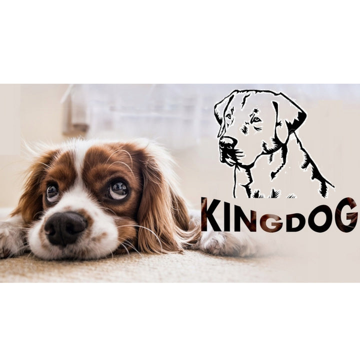 KingDog Dog and Cat Bed with Two Cushions Dog Cushion Dog Basket Pet Bed Washable Waterproof PVC Material Size XL