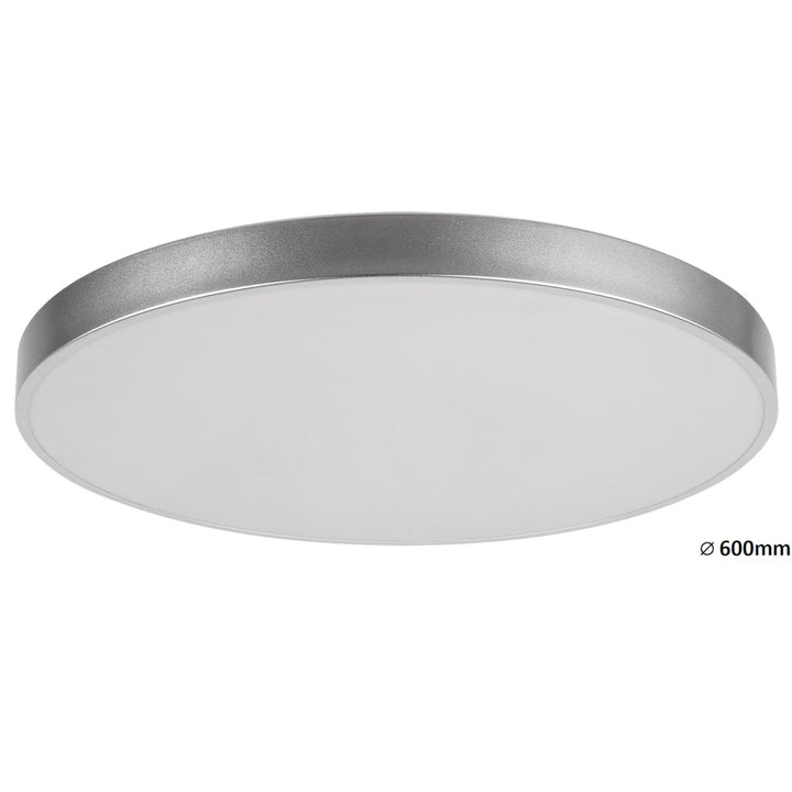 Rabalux - Plafondlamp Tesia, ind. Ceil.LED 60W - Zilwer