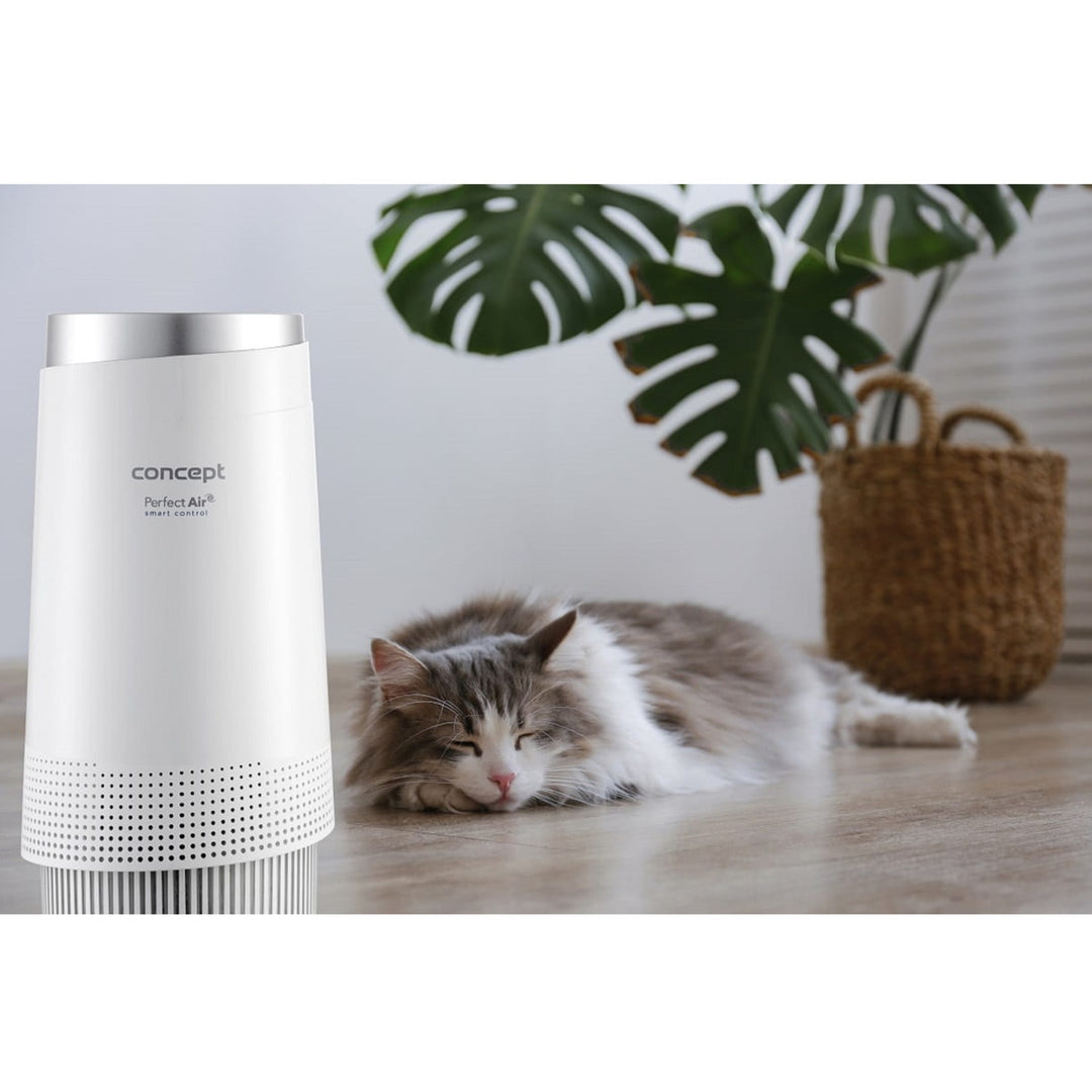 Purificateur d'air Concept, CA1010, Perfect Air Smart