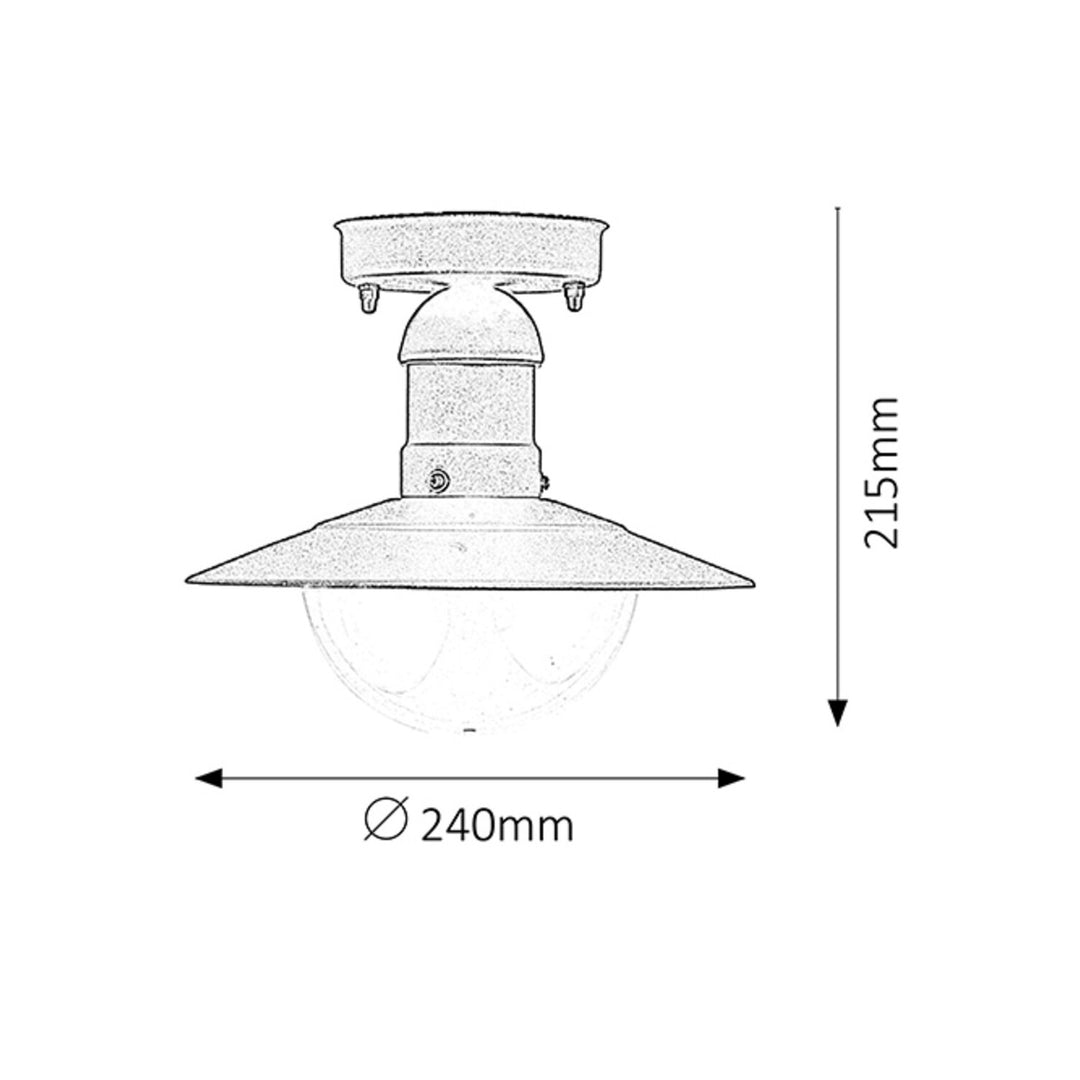 RABALUX OSLO 8716 METALEN PLAFONDLAMP VOOR BUITEN