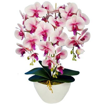 Orchidea Artificiale Damich in una pianta del vaso di fiori Decorazione Artificiale Fiore 3-fiorenti Rami Altezza Circa 60cm Rosa