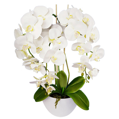 Damich Orchidée Artificielle dans un Pot de Fleur Plante Décoration de Fleurs Artificielles 3 Branches fleuries Hauteur Environ 60 cm Blanc