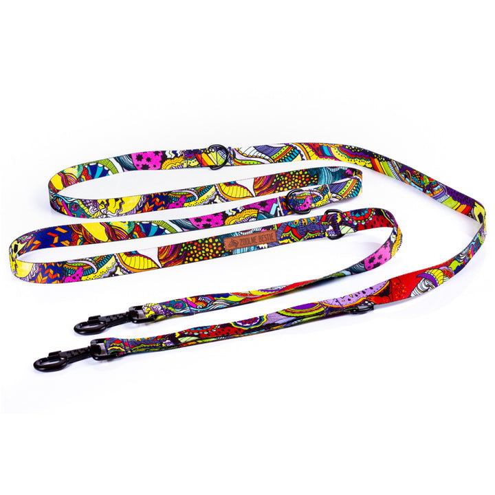 Zdolne Bestie  Webbing Intertwining Leash for Dog Adjustable Lead Miracles on a Stick XXL length 300cm width 2cm.