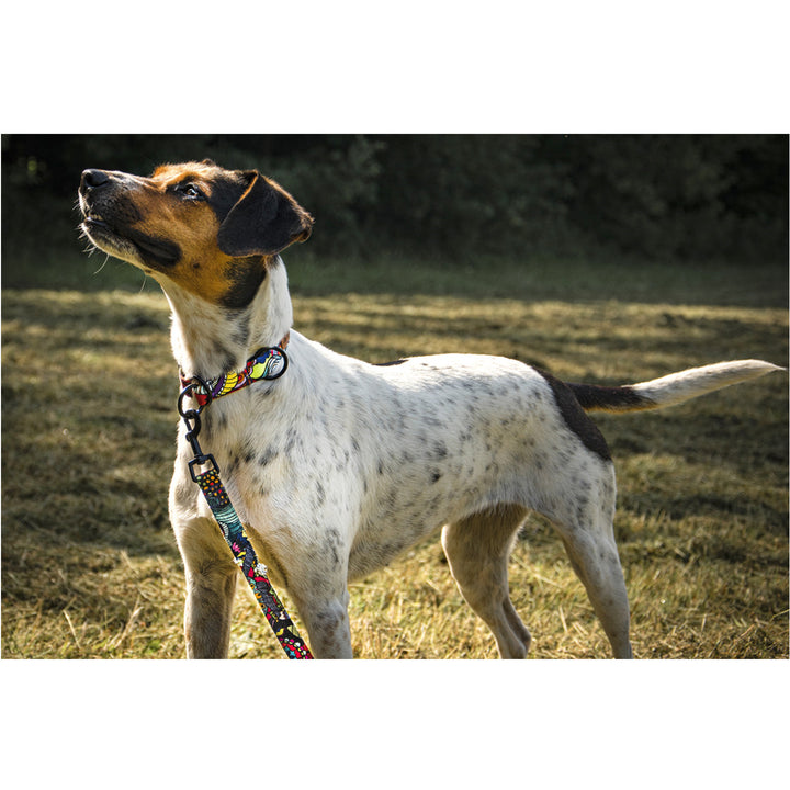 Zdolne Bestie  Webbing Intertwining Leash for Dog Adjustable Lead Miracles on a Stick XXL length 300cm width 2cm.