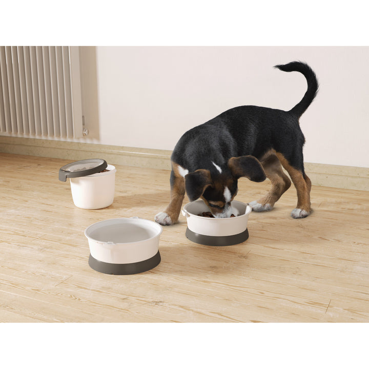 Curver 1.5L Travelkit Pet Food Container Travel Kit Pet Food Storage Container Dog Cat Food Box Lid