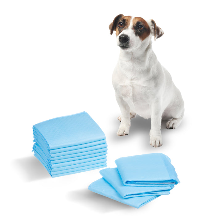 GreenBlue GB495 Juego de Empapadores de Adiestramiento para Perros y Cachorros Empapadores Higiénicos Desechables 6 Capas (60x40cm, 100 unidades)