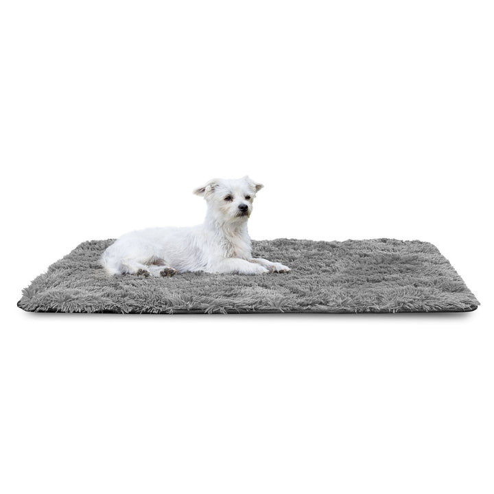 Tapis en peluche, poils courts, antidérapant, 80 x 160 cm, gris foncé, DYWSHA80/160C-SZ